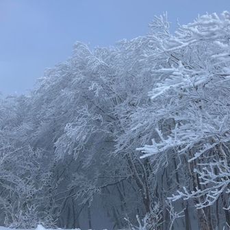 こわ坂のぞいたら
薄らトレースありそうだったので👣
コワ坂からの2ピークに変更！！