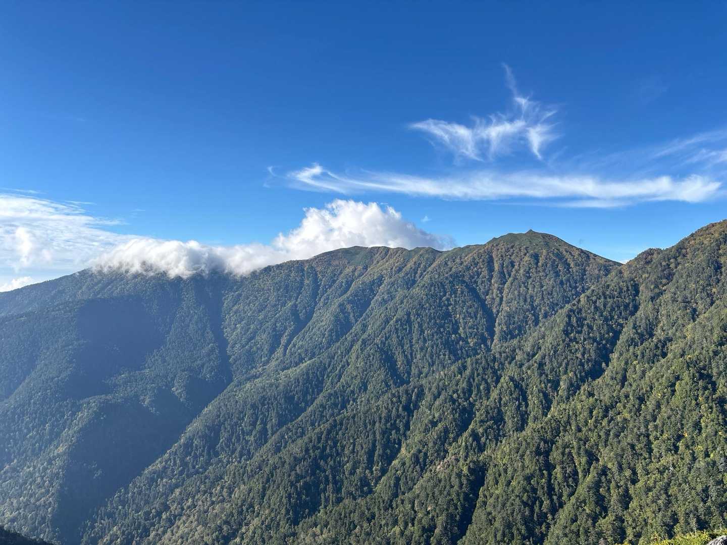 長ーい樹林帯を抜けて👍