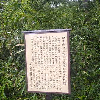 ねこ稲荷の由来