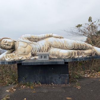 この姿は人間味を感じる。誰だって横になりたい時ってあるよね