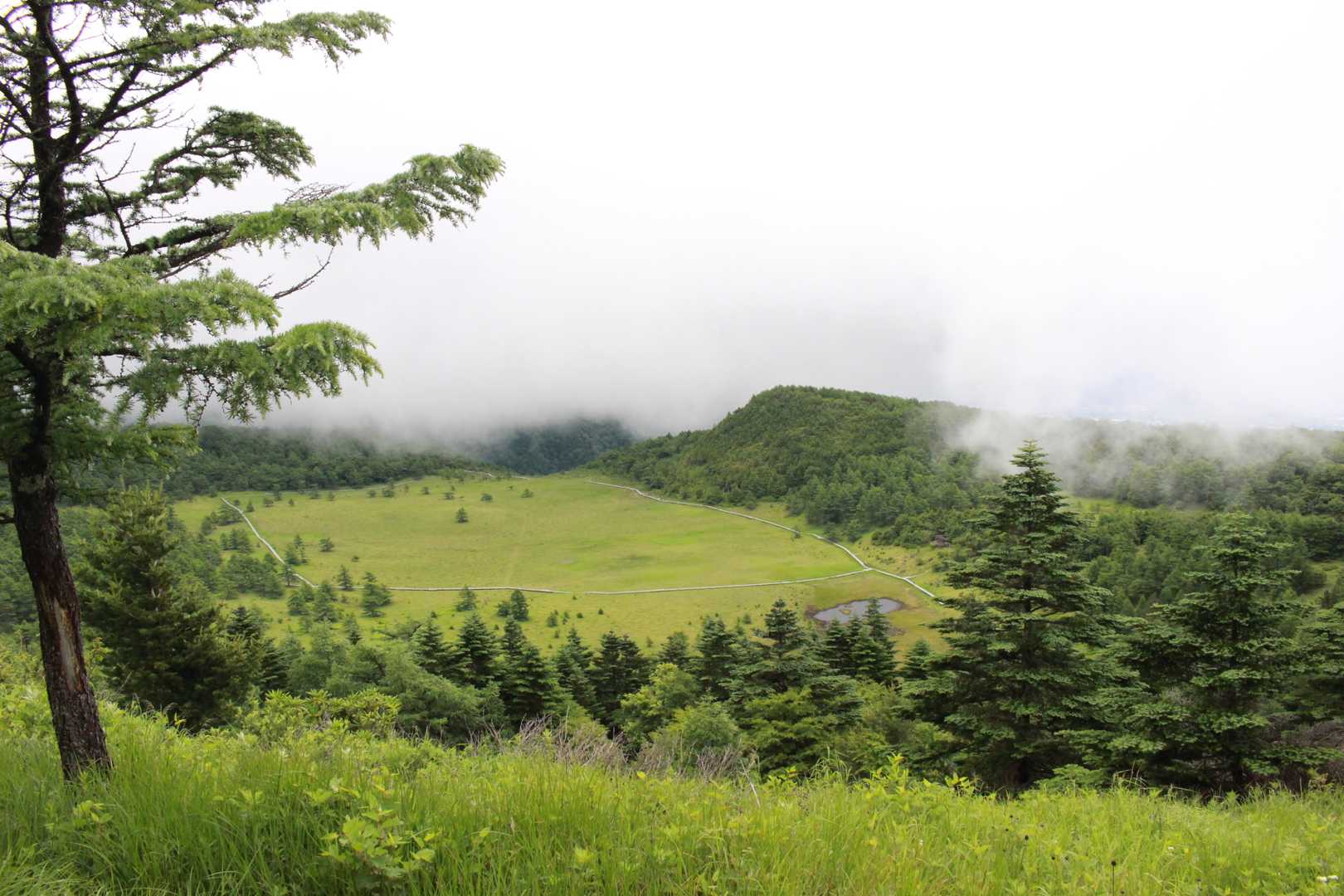 篭ノ登山-池ノ平湿原入口-雷の丘-雲上の丘-見晴岳-三方ヶ 縦走コースの写真