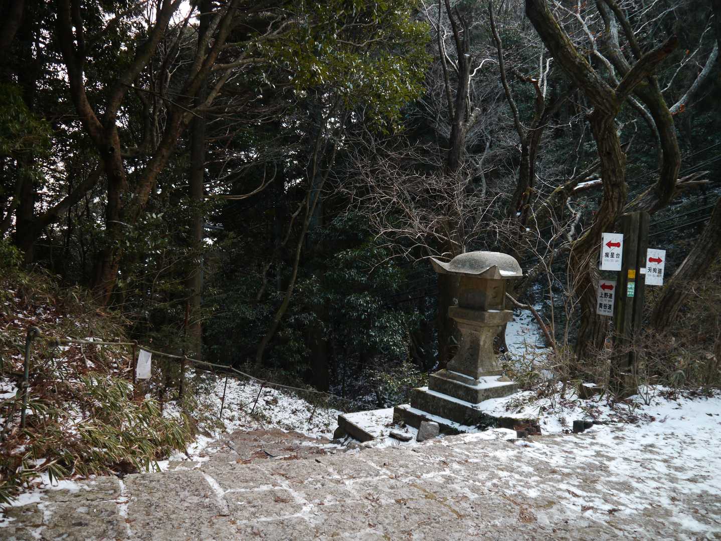 上野道からおります　雪