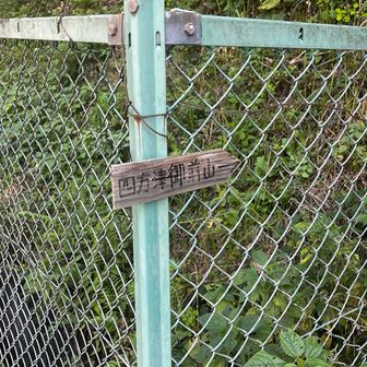 藪を掻き分けて中学校の裏に降りてきました。大分メンタル削られました