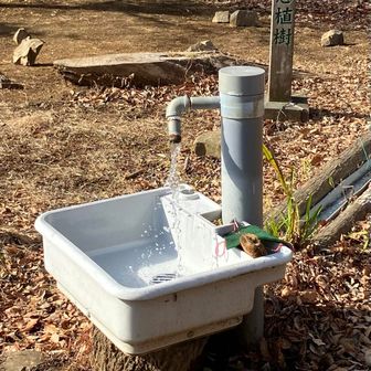 水💦は出ていました。