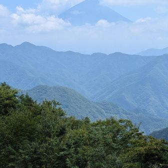 やった✨富士山見えた〜🗻