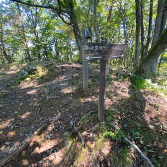 雁田山からはずっとくだり
すべりやま⁈