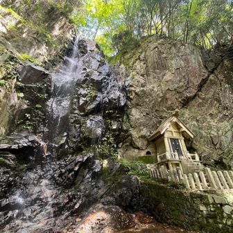 どこか滝の裏側が見れる所があるとか👀
那岐山下山中にお会いした方に聞いたので
またリベンジします🙌