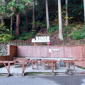 突き当りに"mt.KONGO"のモニュメント。右に折れると一番メジャーな千早本道。
今回は左に行き、YAMAPおすすめのツツジオ谷コースを行く。
https://yamap.com/magazine/56595

前日、父にも相談して「ツツジオ谷でええんちゃう」とのこと。