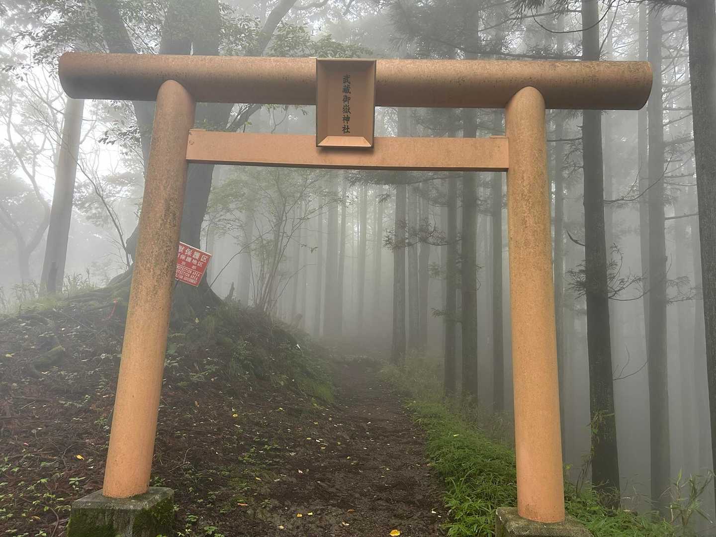 御岳山〜つるつる温泉｜ペットも歓迎の山上のパワースポットの写真