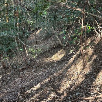 うっかり、踏み跡ぽく見えるこの道を進まないようにすること…😕
下ってそのまま進まないこと…‼️