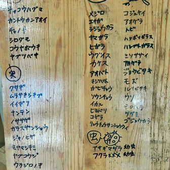 高尾山頂　ビジターセンターの最新自然情報