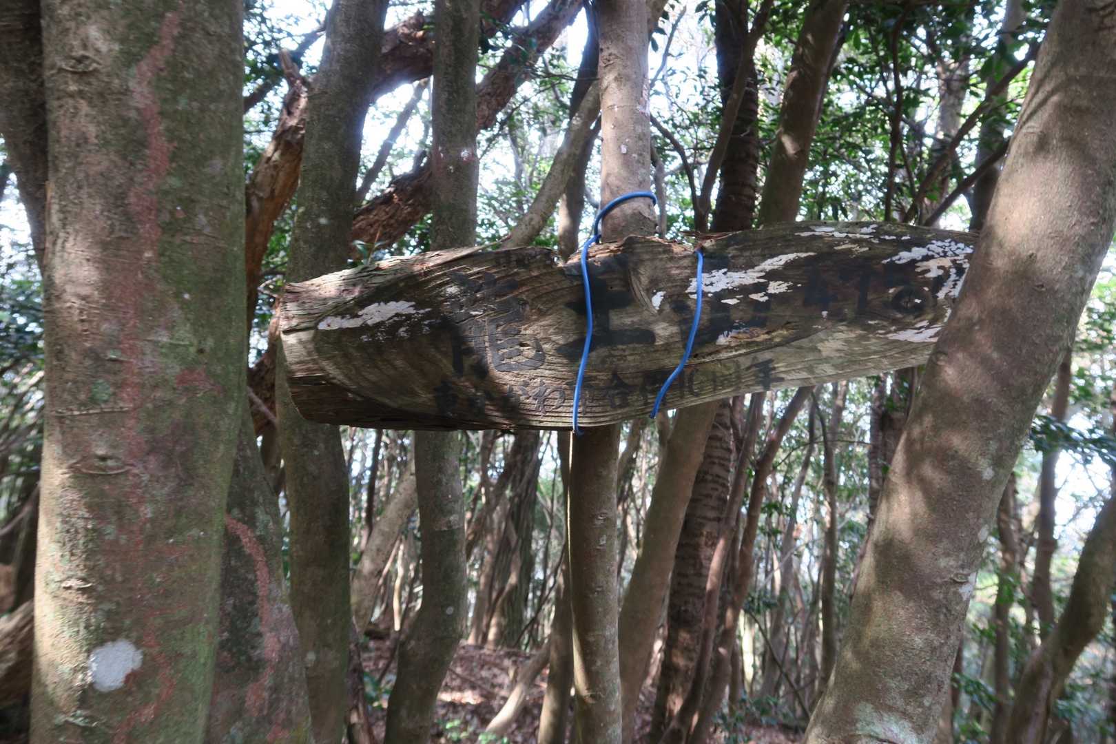 龍王山475m