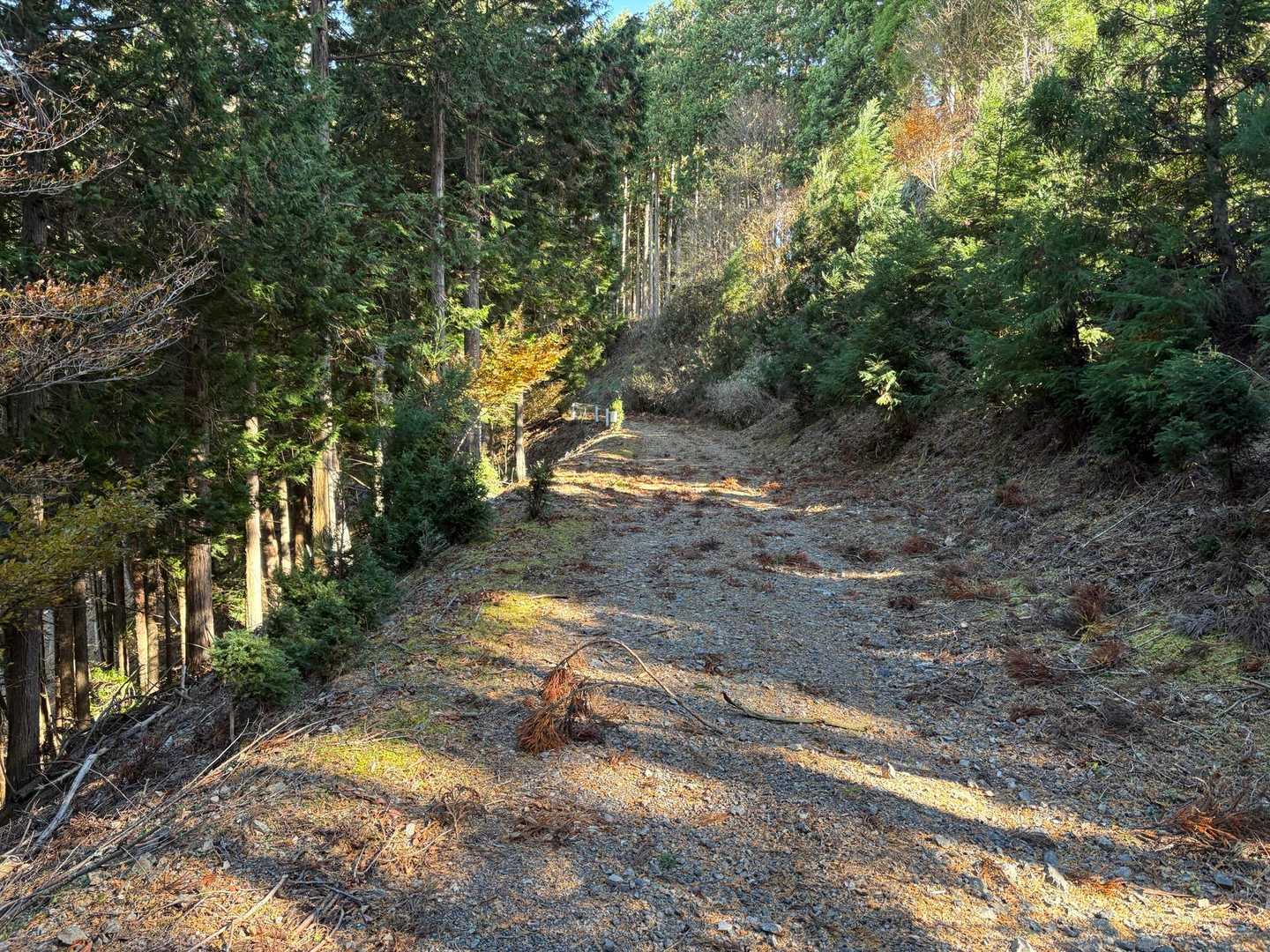 帰りはひたすら林道歩き🚶
全面通行止め扱いだけど無双連山取り付きまでは特に問題なく車両も入ってるようでした🤔