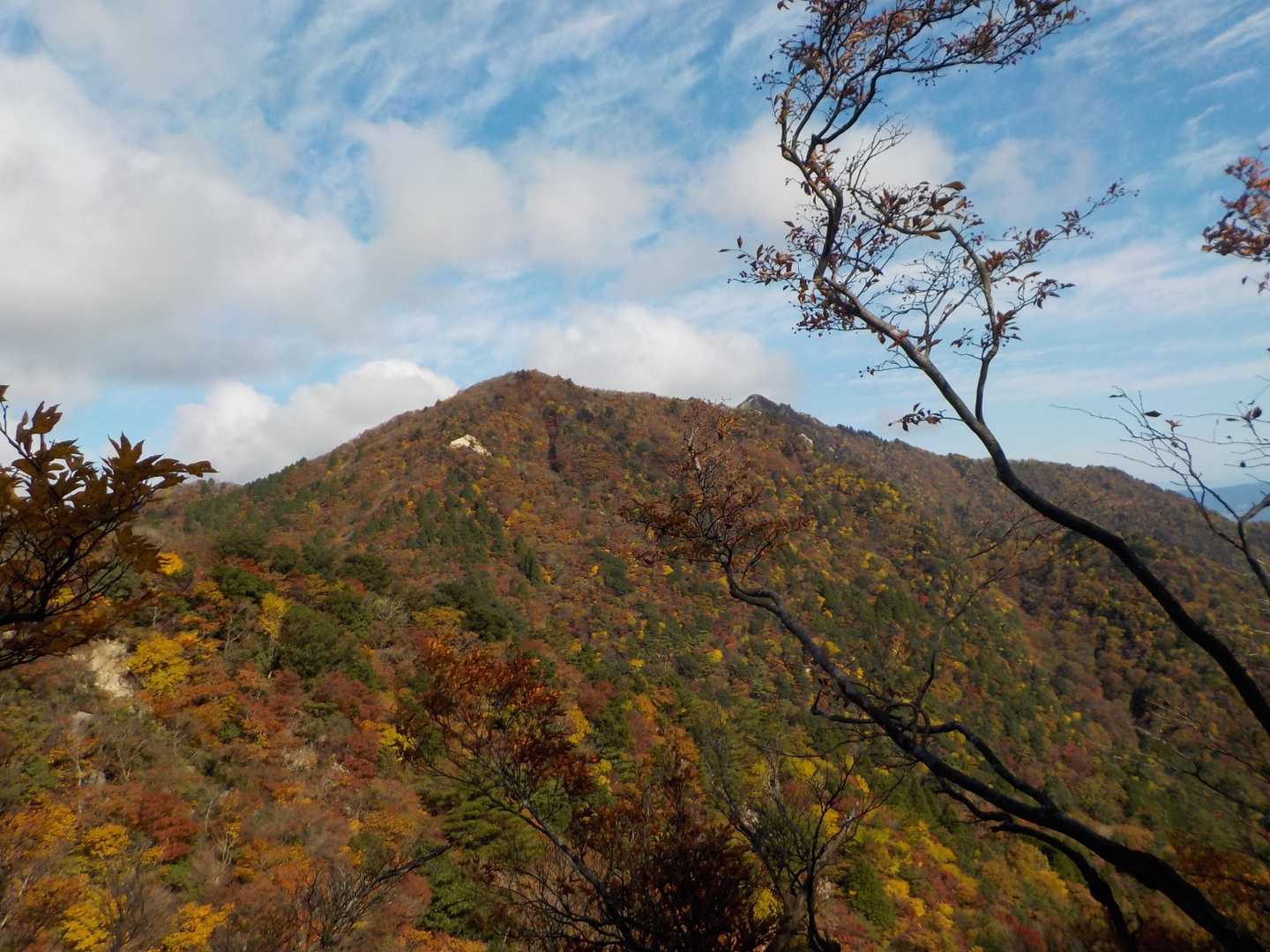 紅葉の上に鎌がちらり😄