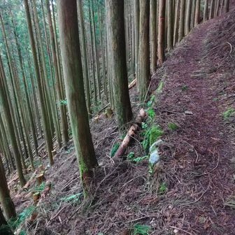 ホンマに終わり