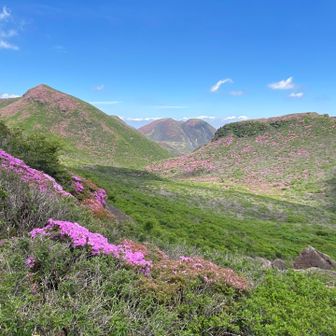 鳴子の貴婦人に会いたかったけれど🤍
無理はしません🍀

稲星山を目指します🌾

景色は吊り尾根の向こうに三俣山→
そして先程いた白口岳です🤲🏻