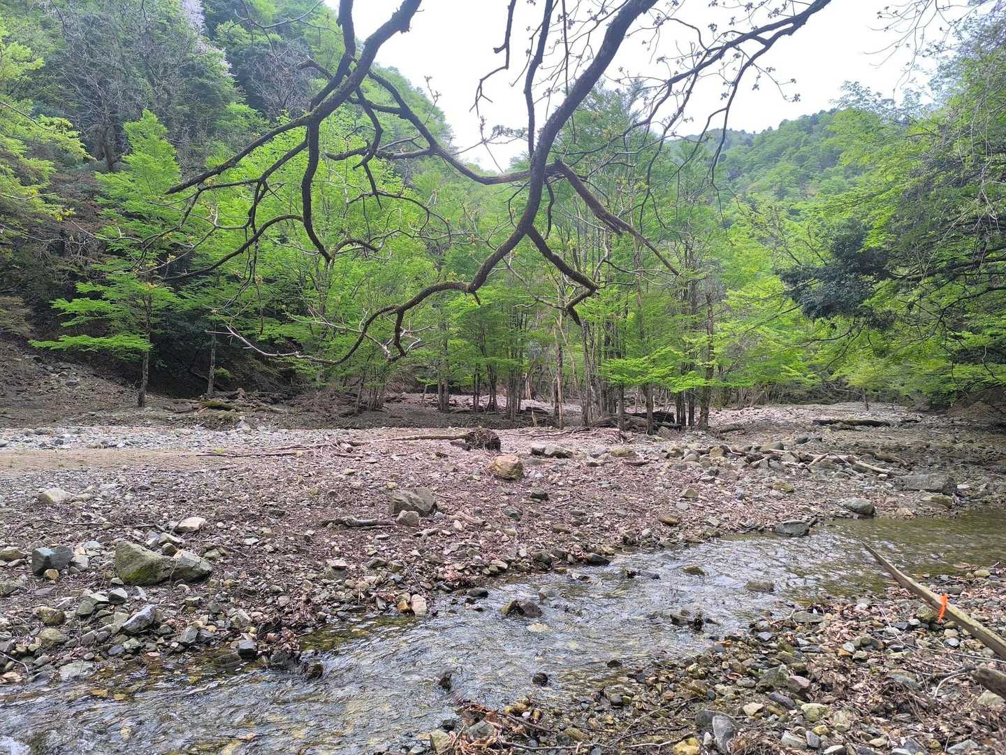 ここ雰囲気良いですよ
川を渡って行きます