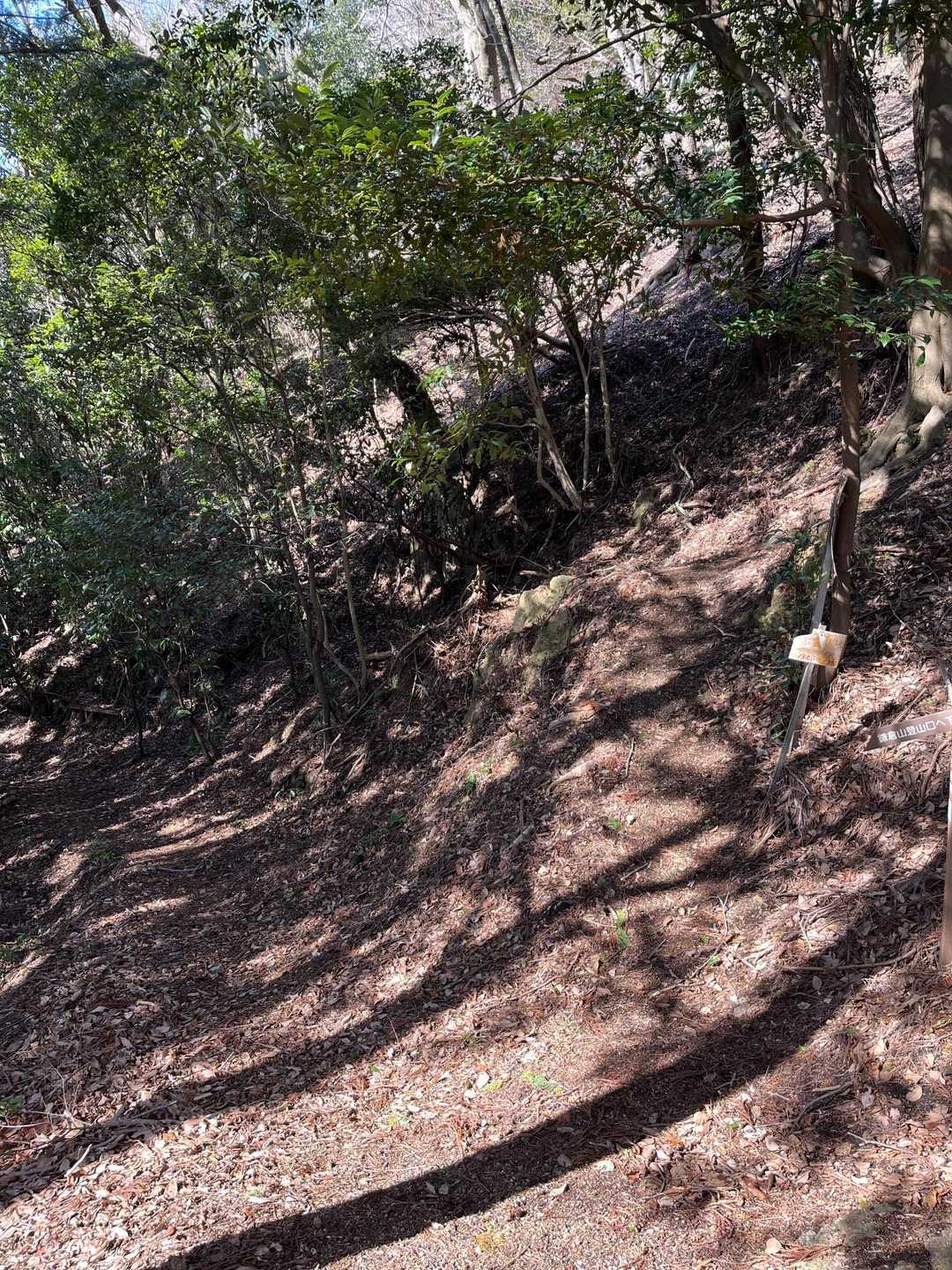 左に行きそうになりますが、鎌倉山へは右斜めを上がる標識が傾いてるので間違いやすい