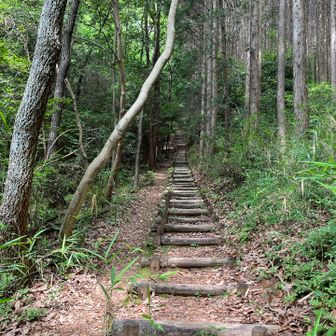 道樹山への長い階段。つらい。