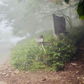 下山で雨が降ってきました。
過去一疲れた😓ってペルさんに言ったら、太ってるからだ！って言われました。ありがとうございます😭😭
　