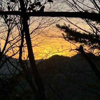 明るくなってきた