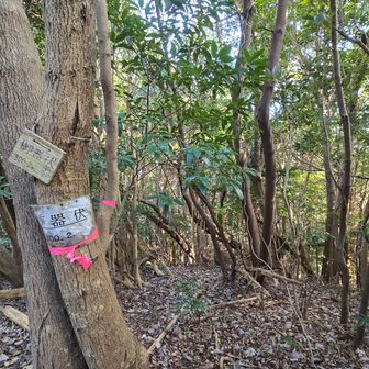 3座目  本日の最高峰
御器伏(ごきぶせ) 300m

木々に囲まれ展望なし