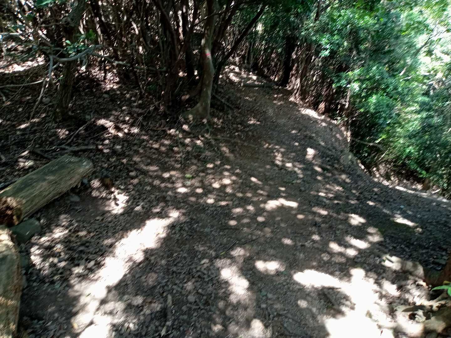 途中の分岐