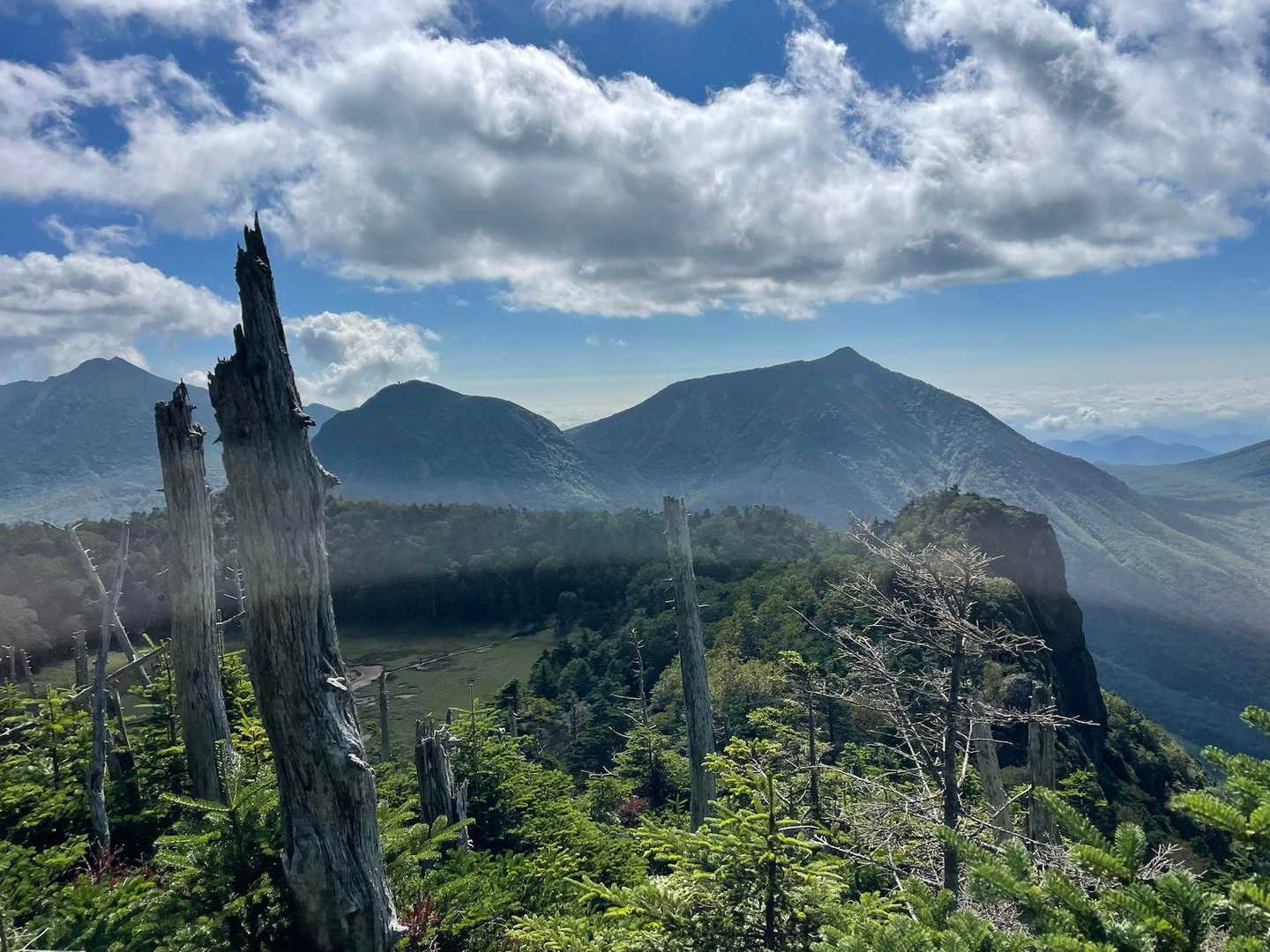 下に花畑、もう少しで山頂