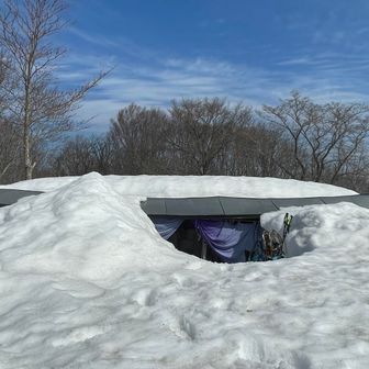 ここに納まっていらっしゃいます。