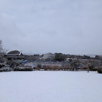 東谷山フルーツパークも一面の雪☃