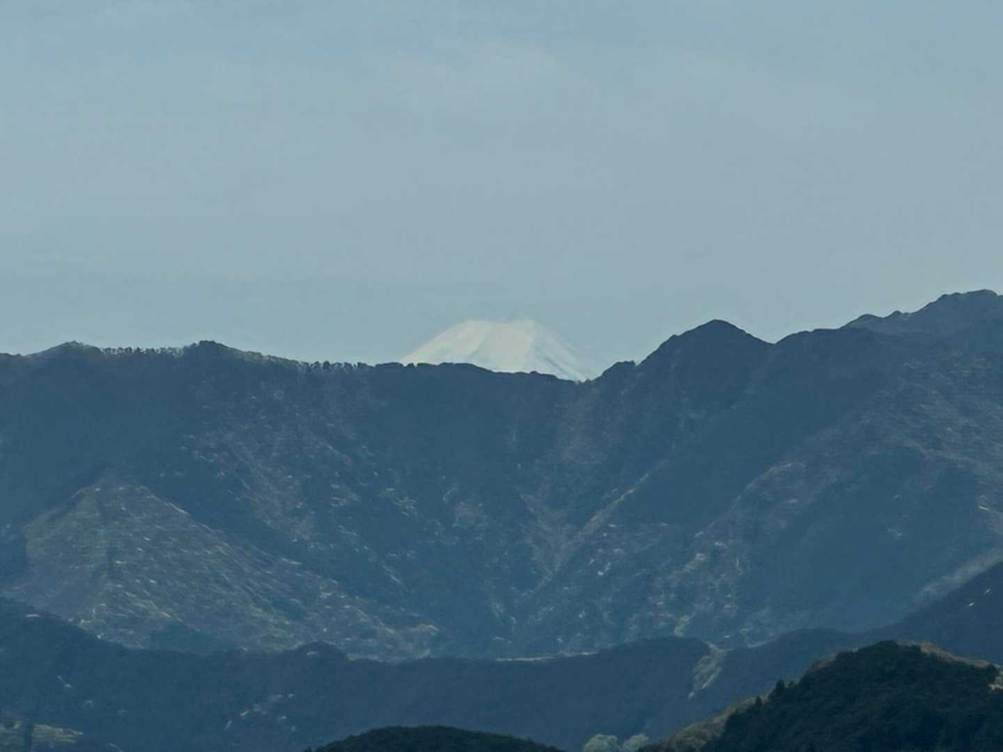 さわらびの湯バス停〜御嶽駅｜棒ノ嶺・岩茸石山・惣岳山縦走コースの写真