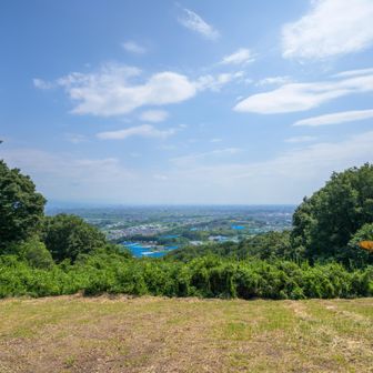 山頂からの眺め
青いネットは果樹園の日除け
去年ここで大きなイノシイが現れてマミちゃんと戯れている写真を見せてもらいました。
温厚なイノシイでよかったね