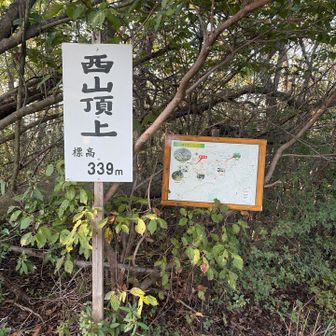 西山🙌