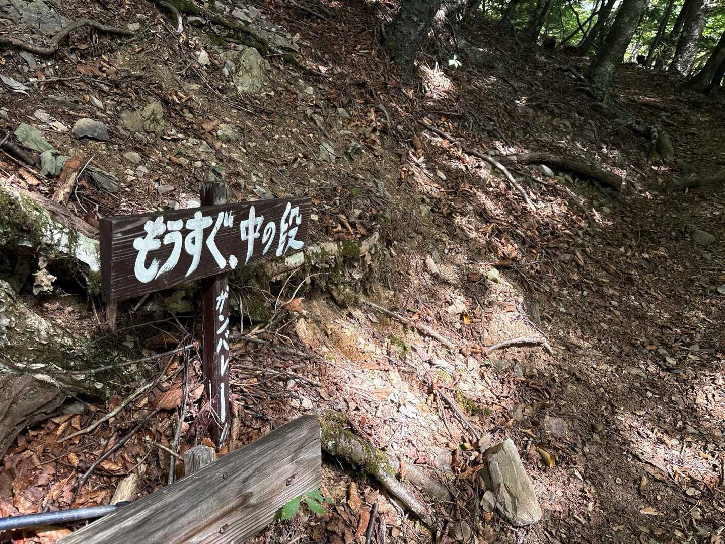 この何気ない励ましに力をもらいました。