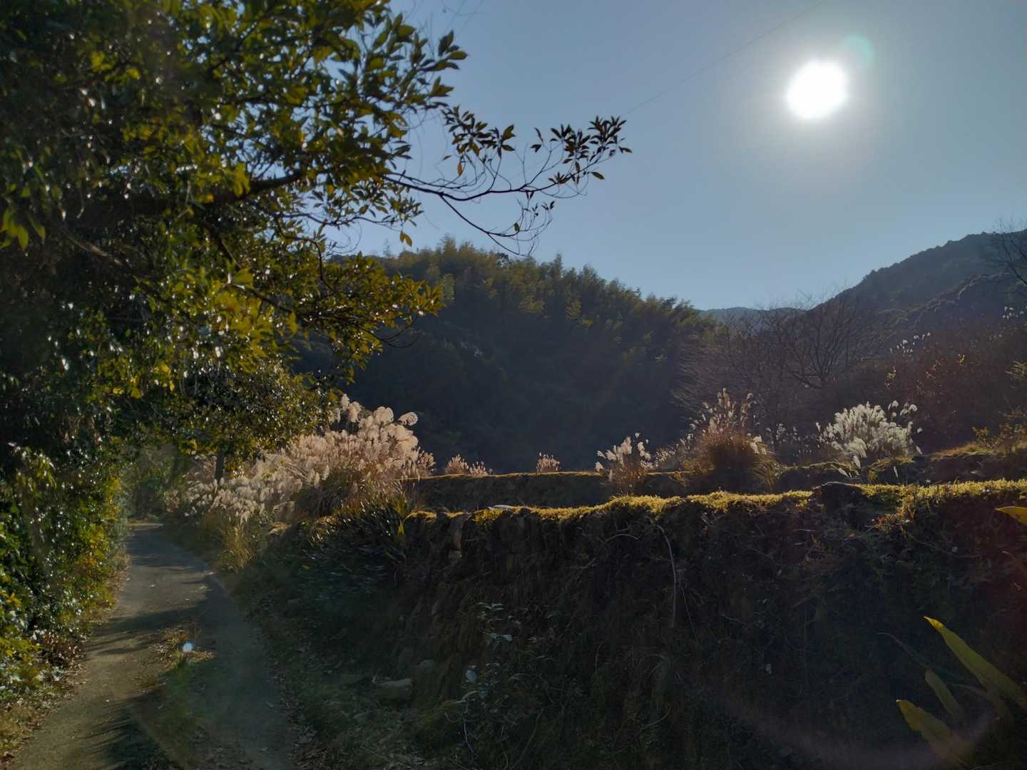 今日は暖かくていいなあ😃