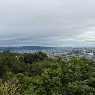 展望台から