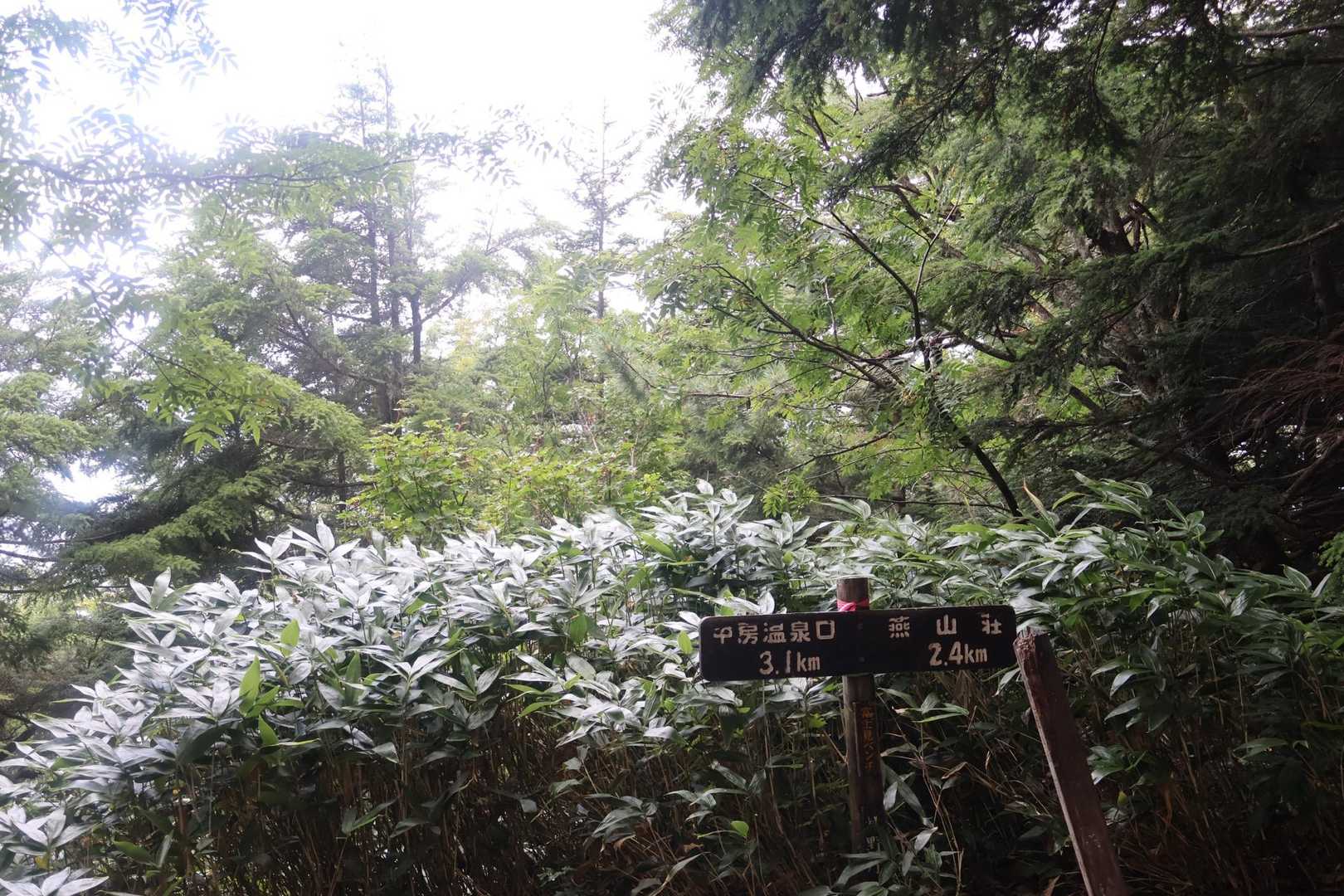 富士見ベンチ　到着
少しずつガスが上がってきていて、残念ながら富士山は見えず🫣

ダンナさん…合戦小屋までは頑張りたい！