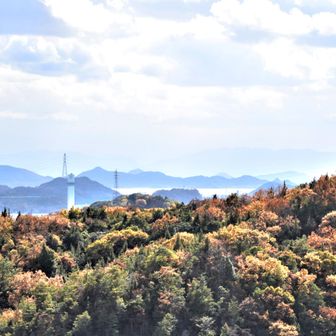 　　　　⛰️馬路山から
　　南　　西大寺　児島湾