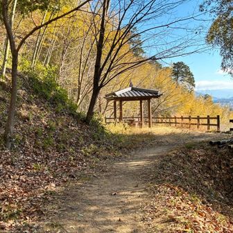 ここでおにぎり休憩