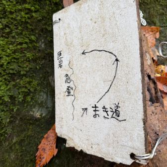 まき道の下りは、落ち葉🍂いっぱいのトラバースで、結構歩きにくい💦