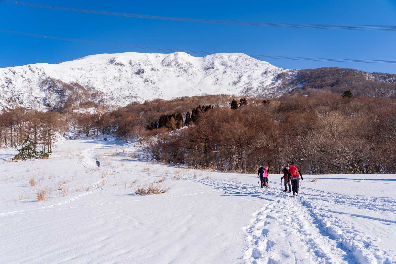 伊吹山 正面登山道（上野口コース）の写真