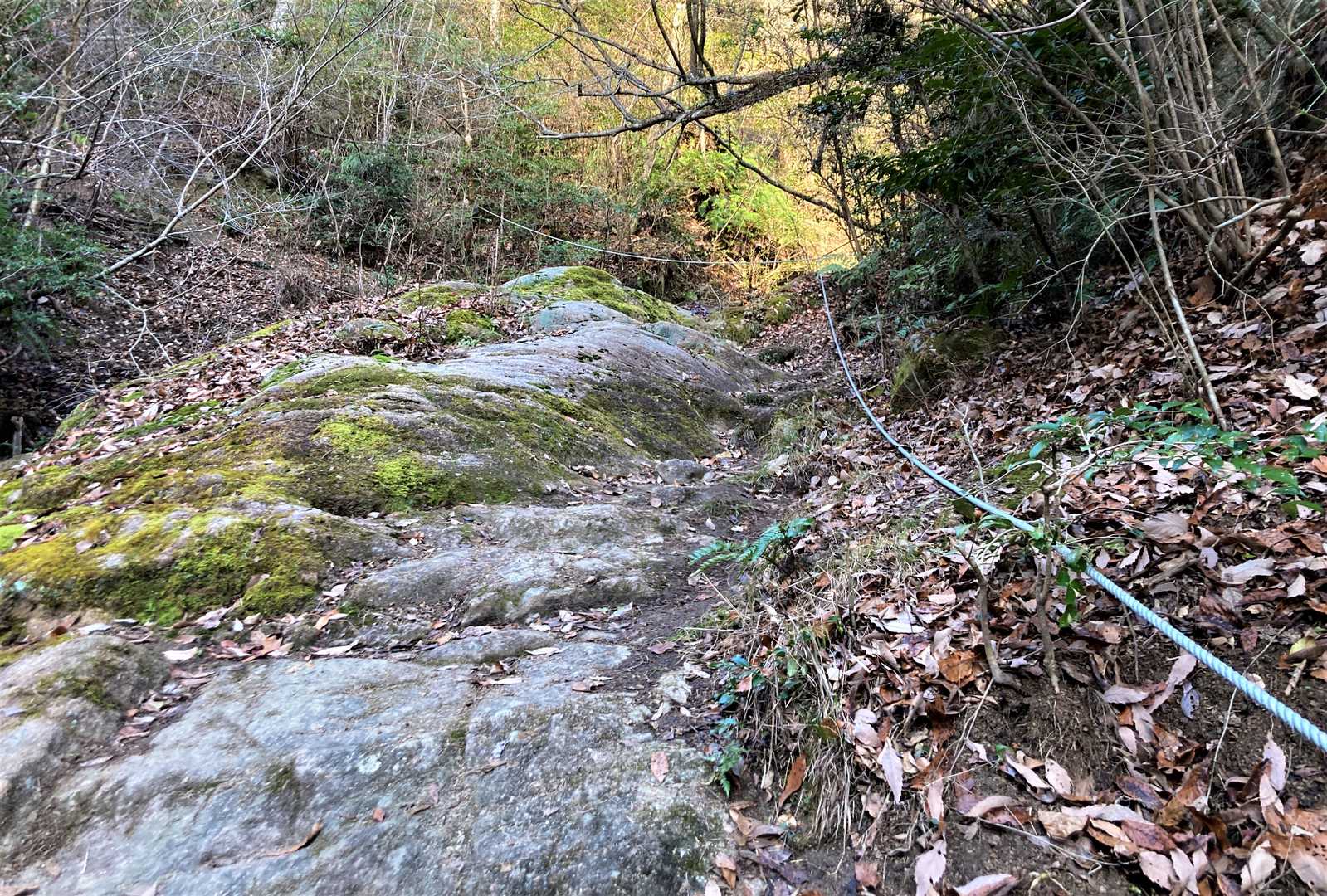 虎丸山登り口-三本松-虎丸山 周回コースの写真