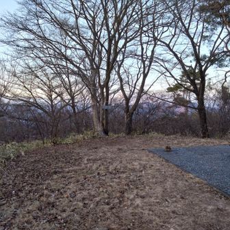 山頂です。やったー！