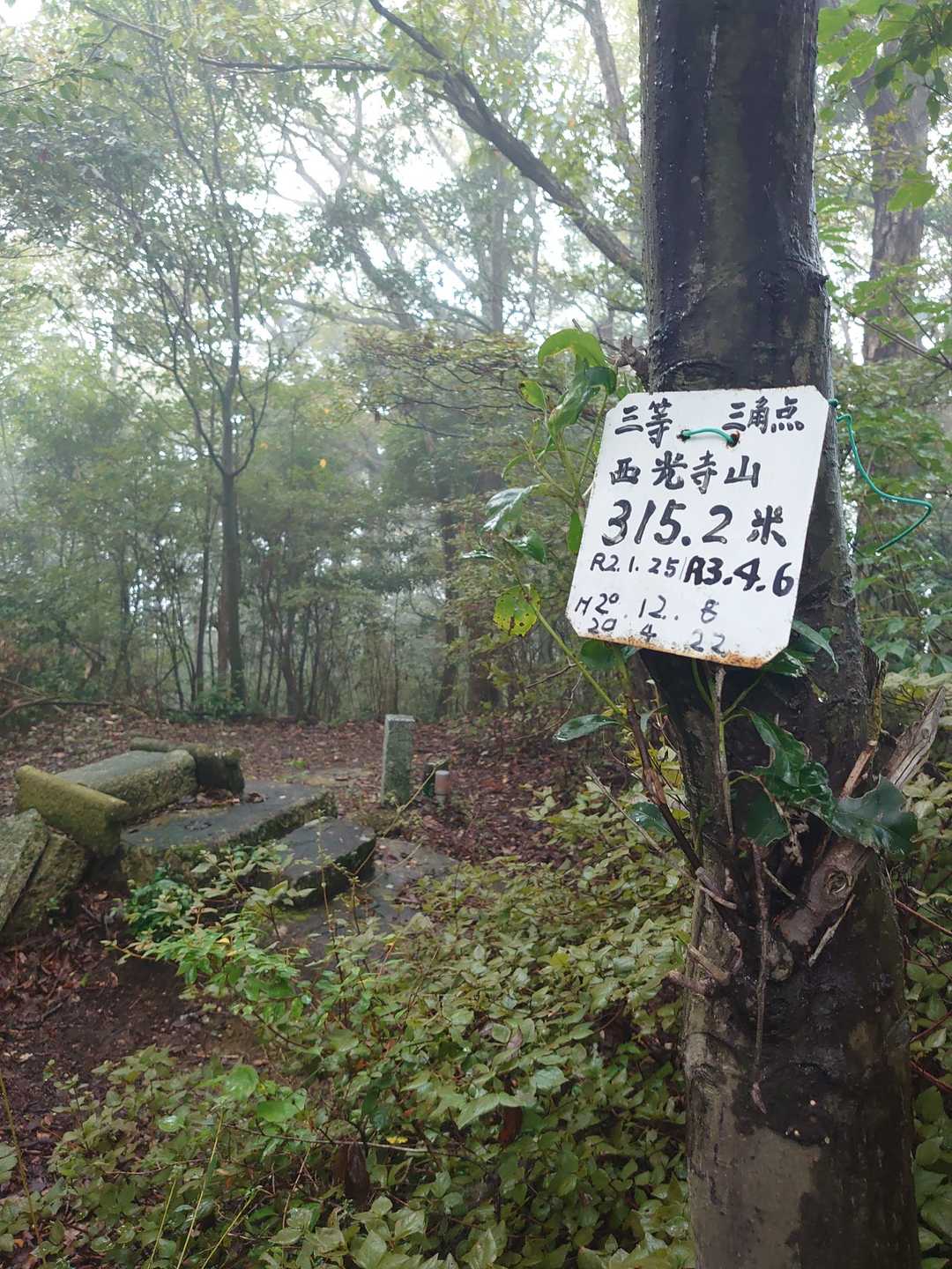 西光寺山頂きました！
背の高いえだっちは🕸にやられすぎて悪路に珍しくげんなり。