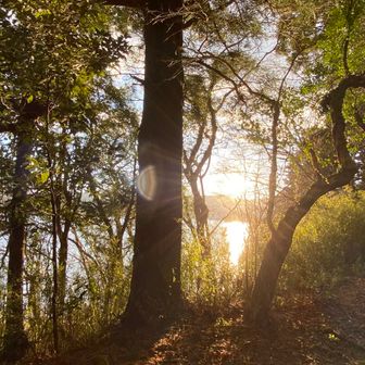 ユーザーやまちゃん