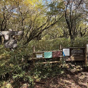 火山ガスの硫黄臭なのか…？たまに硫黄臭がしました。