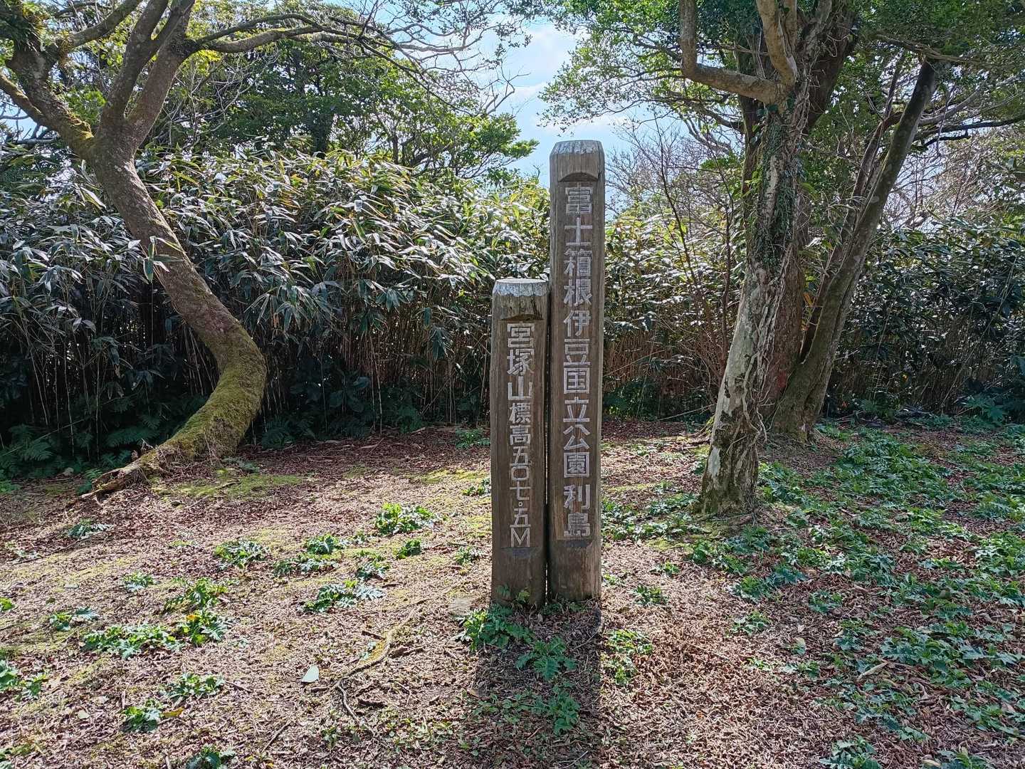 宮塚山山頂