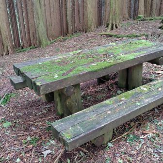 山頂にはテーブルとベンチがある（しかし苔むしており座る気にはなれない……）