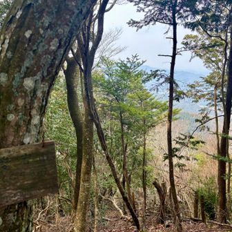 展望はこんな感じ