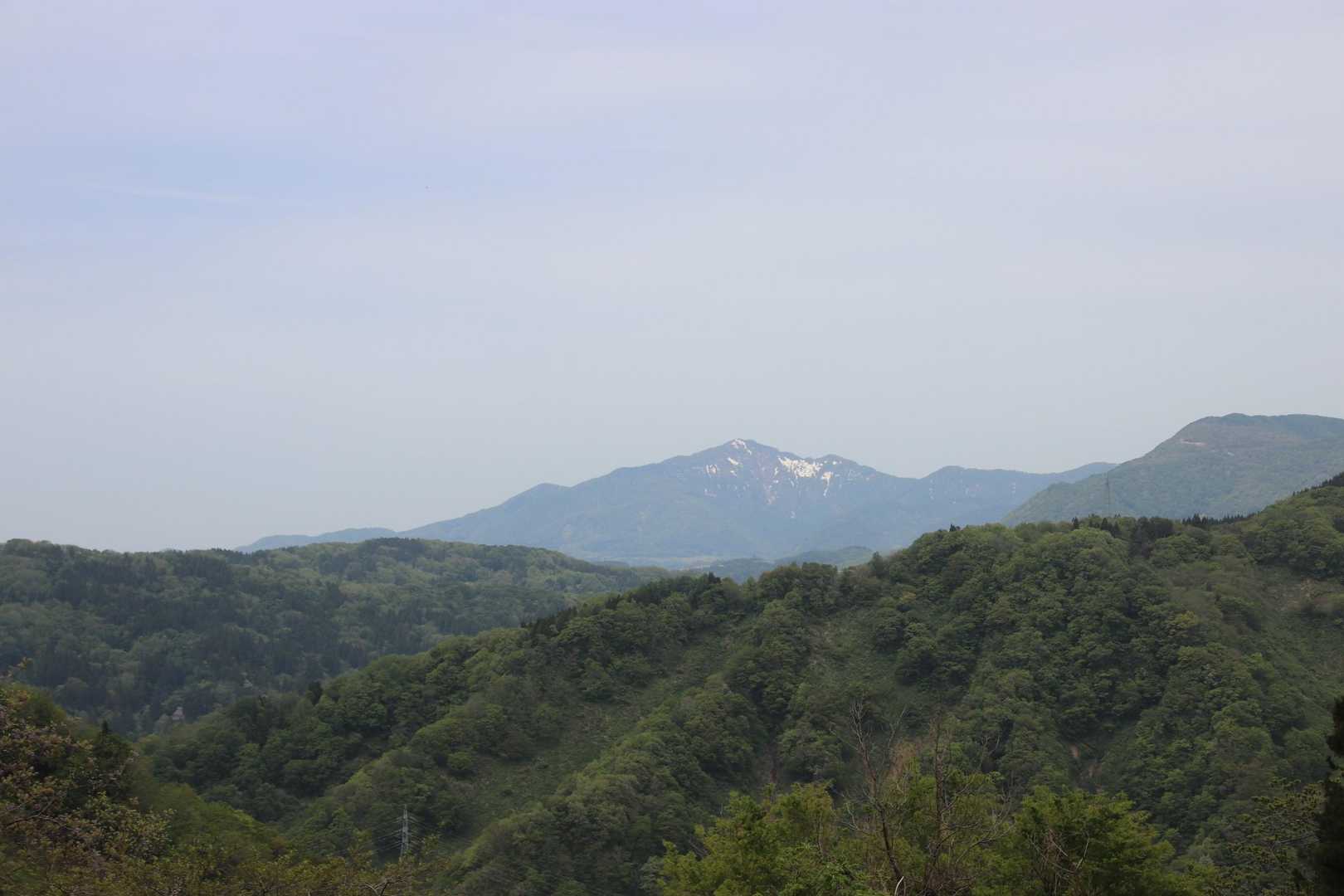 米山かな？